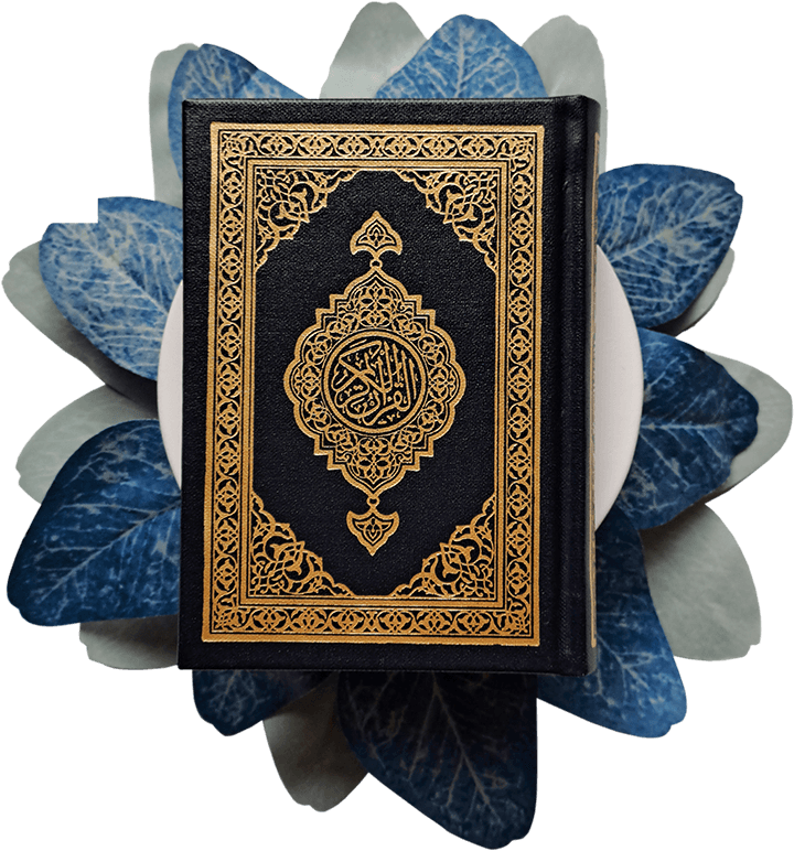 Al Quran Classes offer learn Quran with Tajweed.